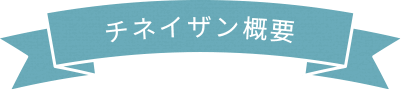 チネイザン概要